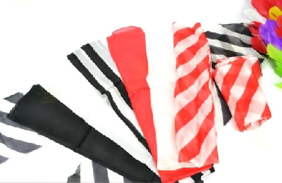 Zebra foulard