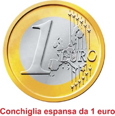 Conchiglia espansa da 1 euro